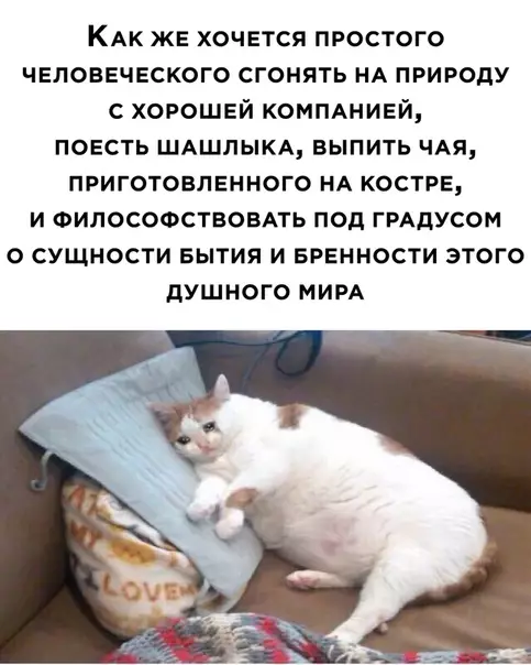 Смешная картинка №496018
