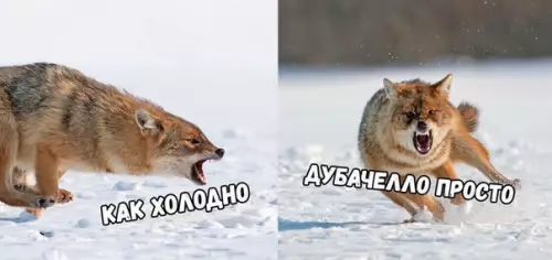 Смешная картинка №410585 Одевайтесь по погоде