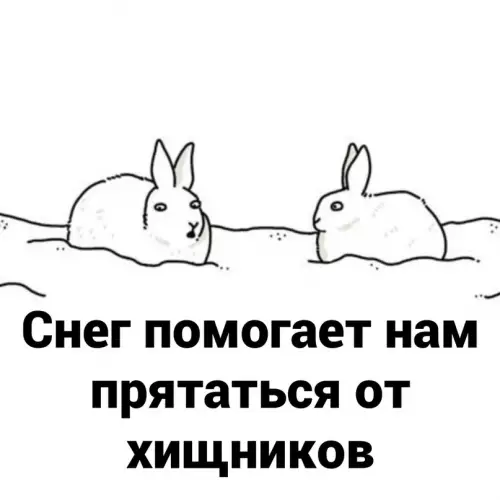 Смешная картинка №628901 Kaжeтcя cнeг вeдeт двoйнyю игpy