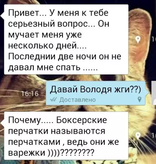 Смешная картинка №203177 переписка
