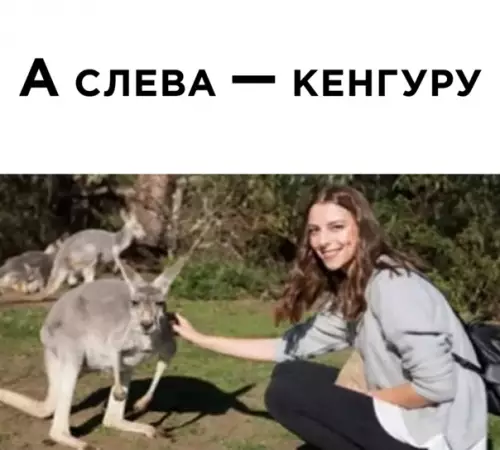 продолжение Смешная картинка №563819