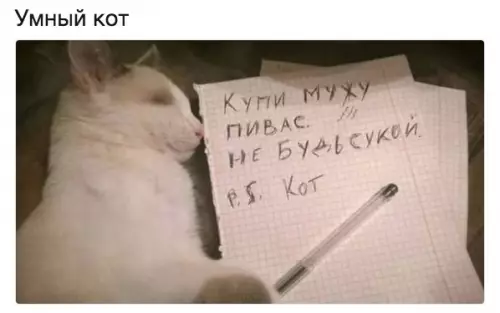 Смешная картинка №210162