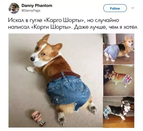 Смешная картинка №292270 То чувство, когда на корги шорты смотрятся лучше, чем на мне собаки