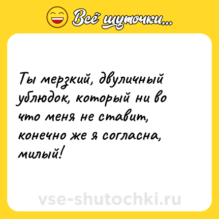 Шутка: Ты мерзкий, двуличный ублюдок, который ни во что меня не ставит, конечно же я согласна, милый!