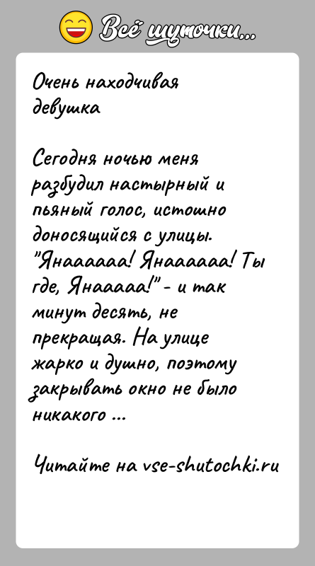 История: Очень находчивая девушкаСегодня ночью меня разбудил настырный и пьяный голос, истошно доносящийся с улицы. Янаааааа! Янаааааа! Ты где, Янааааа! -