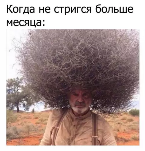 Смешная картинка №257150