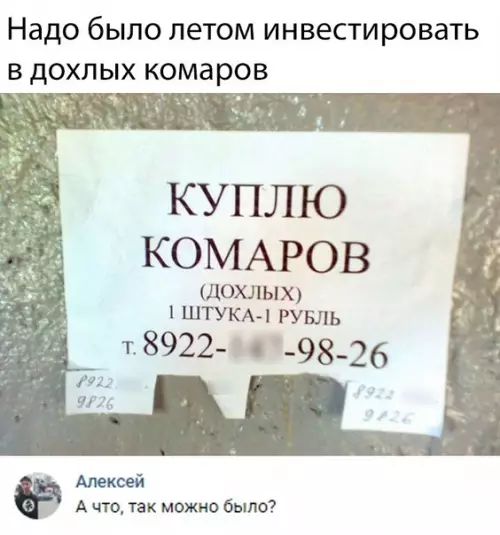 Смешная картинка №304175