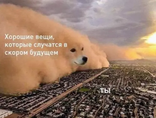 Смешная картинка №766873