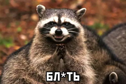 продолжение Смешная картинка №571385