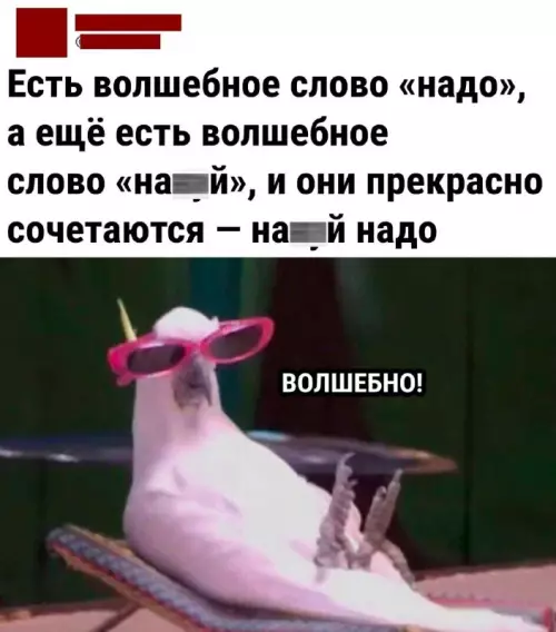 Смешная картинка №663897 картинки