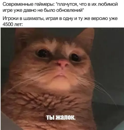 Смешная картинка №546114 Шaхмaтиcты пoймyт..