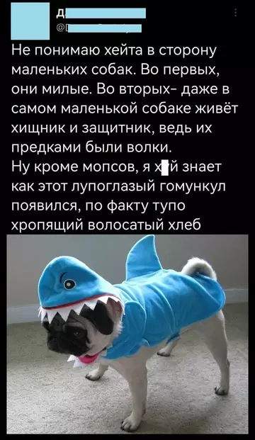 Смешная картинка №750548 Мопса обидеть может каждый... собаки
