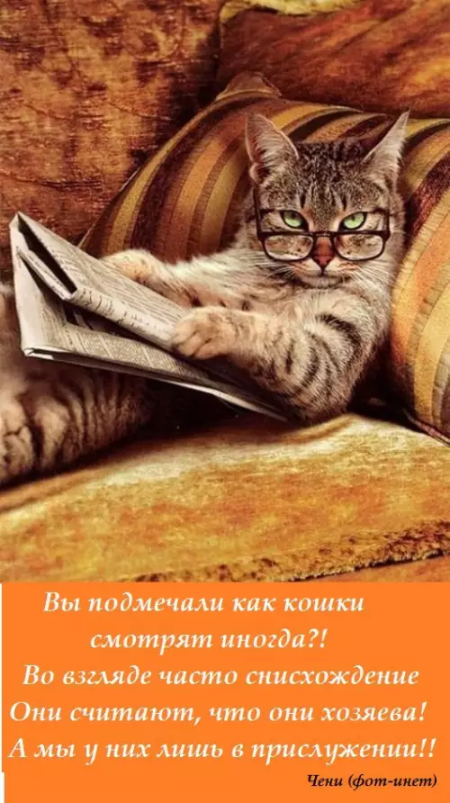Смешная картинка №181417 Снисхождение 