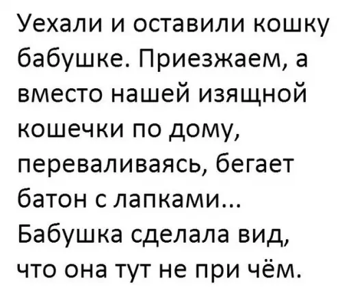 Смешная картинка №182132