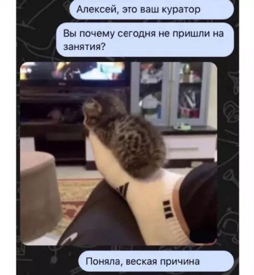 Смешная картинка №729744 Это серьезно  переписка