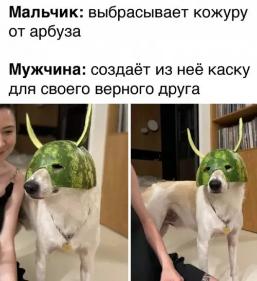 Смешная картинка №655513