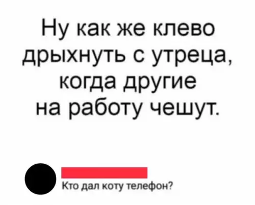 Смешная картинка №326814 Коты еще и не то умеют