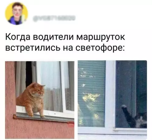 Смешная картинка №216310
