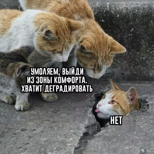 Смешная картинка №674023
