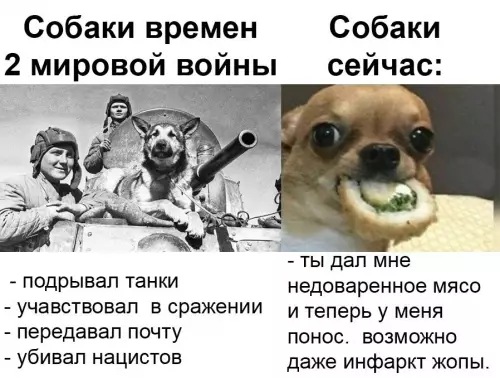продолжение Смешная картинка №662793