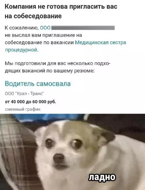 Смешная картинка №667419