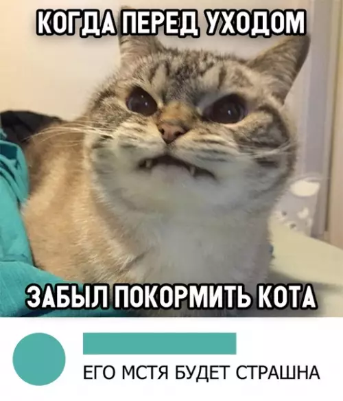 Смешная картинка №308218