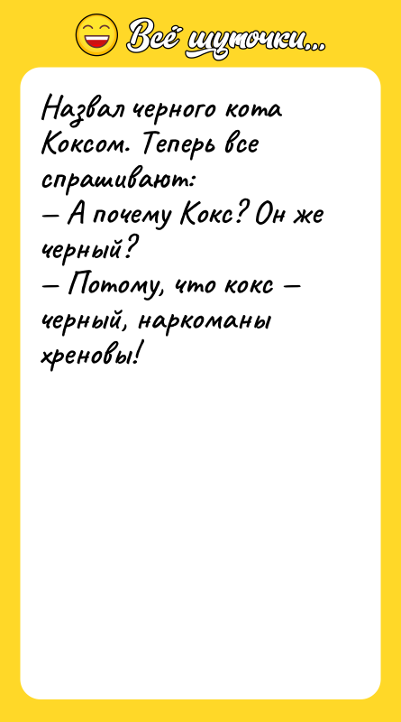 Назвал черного кота Коксом. Теперь все спрашивают: — А почему