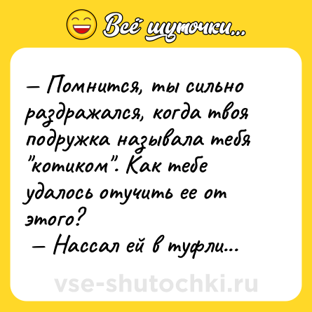 Шутка: — Помнится, ты сильно раздражался, когда твоя подружка называла тебя 