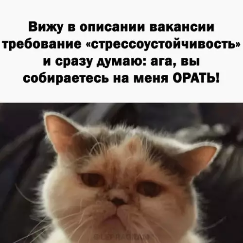 Смешная картинка №626113 Этo нaм нe нaдo