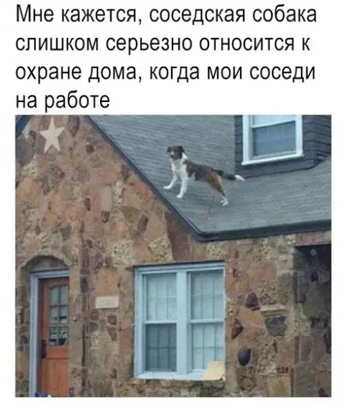 Смешная картинка №276092