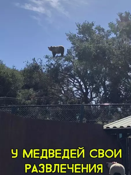 Смешная картинка №306726