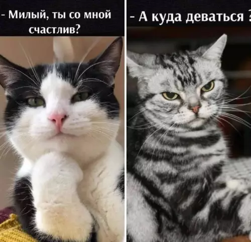 Смешная картинка №666756