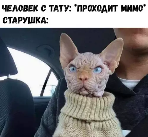 Смешная картинка №369421