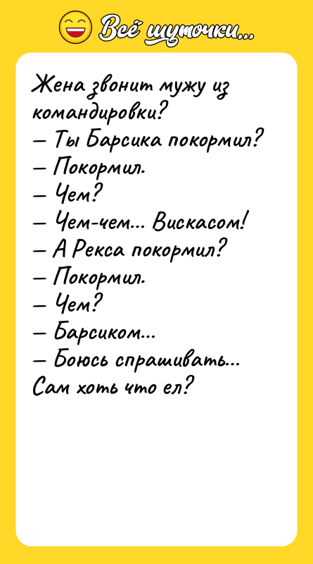 Жена звонит мужу из командировки? Ты Барсика покормил?