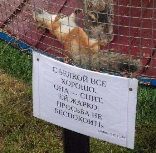 Смешная картинка №187938