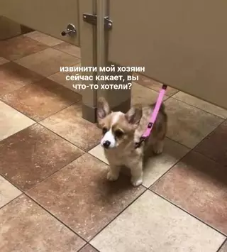 Смешная картинка №664088 Заходишь в общественный туалет, а там...