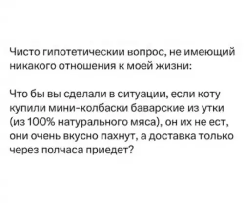 Смешная картинка №813066 Коты