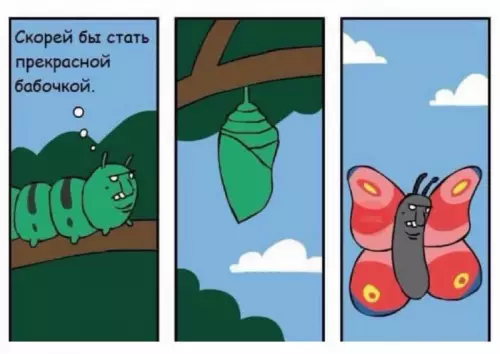 Ожидание vs Реальность: уровень эволюция 🦋 - Скорей бы стать прекрасной бабочкой.