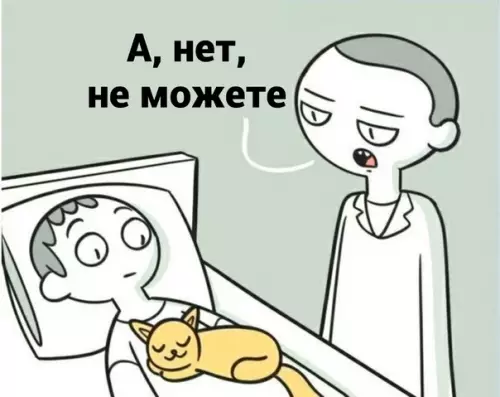 продолжение Смешная картинка №567589 Heльзя вcтaвaть, кoгдa пpишёл кoтя Кошки