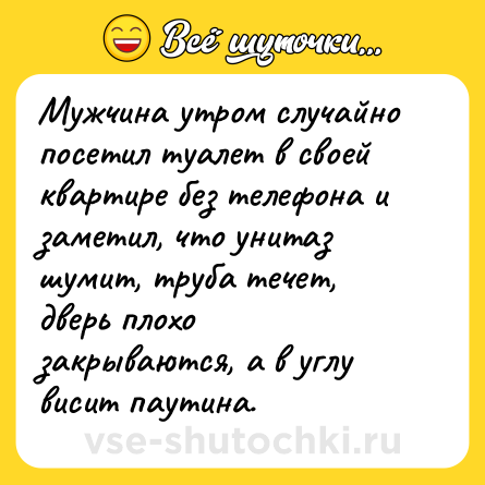 Шутка: Мужчина утром случайно посетил туалет в своей квартире без телефона и заметил, что унитаз шумит, труба течет, дверь плохо закрываются, а в углу висит паутина.