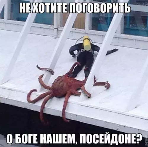 Смешная картинка №268490