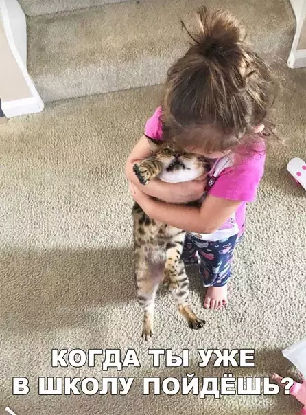Смешная картинка №297748 - Уже скоро!