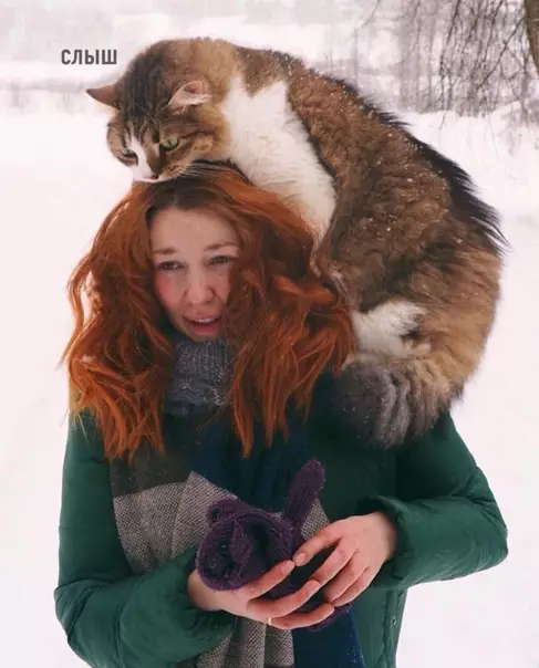 Смешная картинка №556088 Роскошный кот Сага и его извозчица