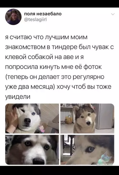 Смешная картинка №354551