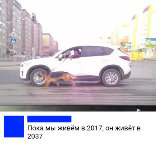 Смешная картинка №213084