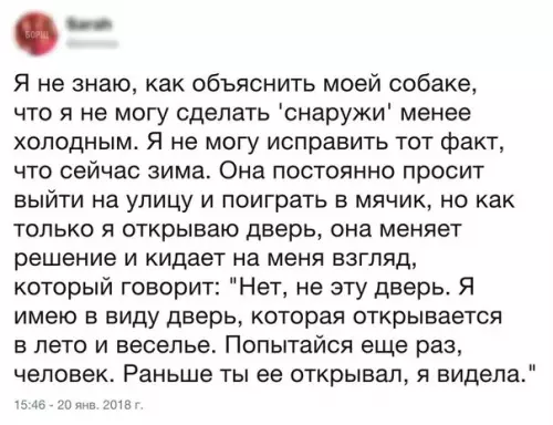 Смешная картинка №242803 собаки