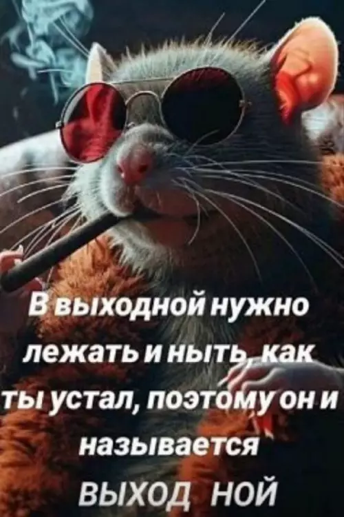 Смешная картинка №733152 Выходной