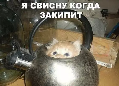 Смешная картинка №309117