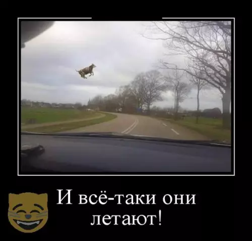 Смешная картинка №317461