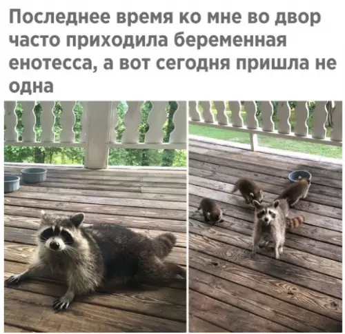 Смешная картинка №281949